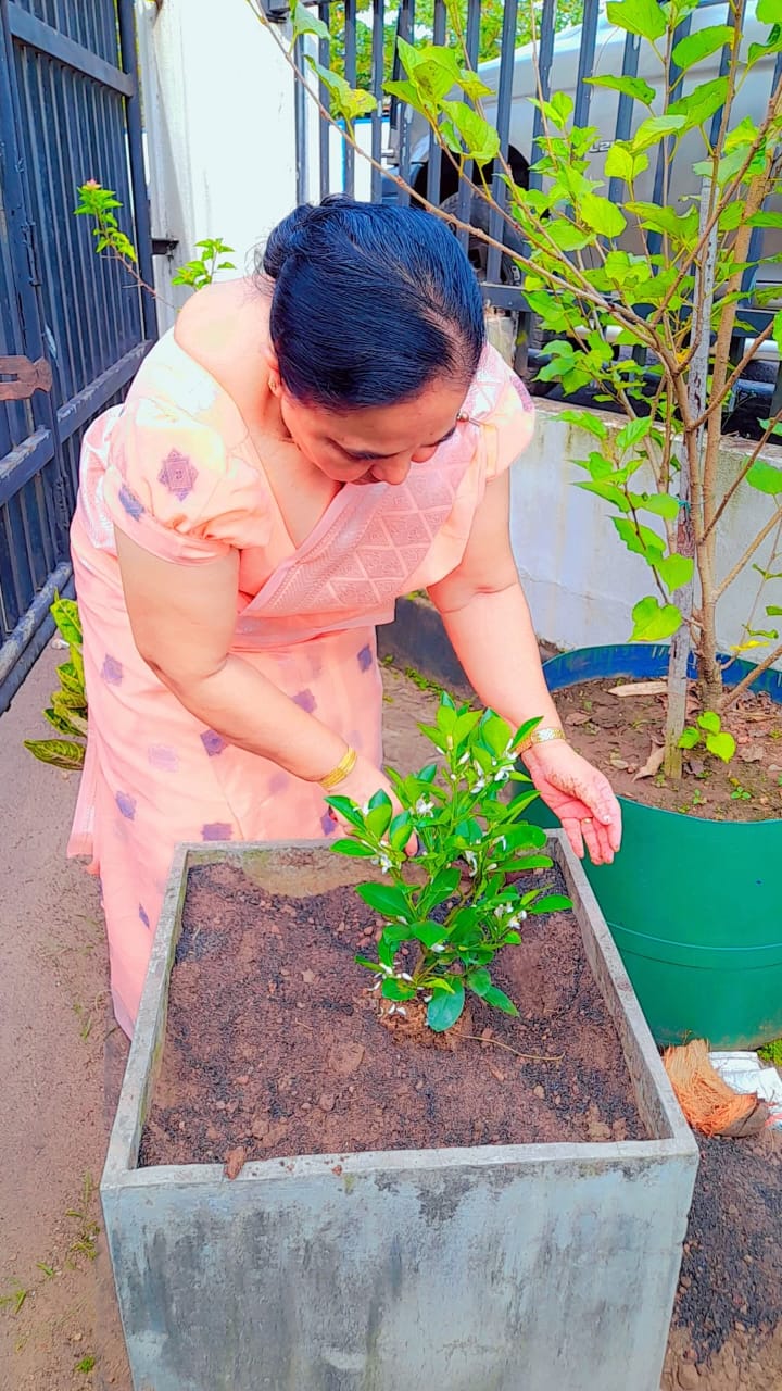 WhatsApp Image 2026 01 01 at 17.22.22 1