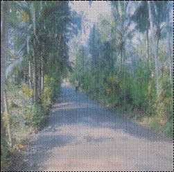 Project of planning